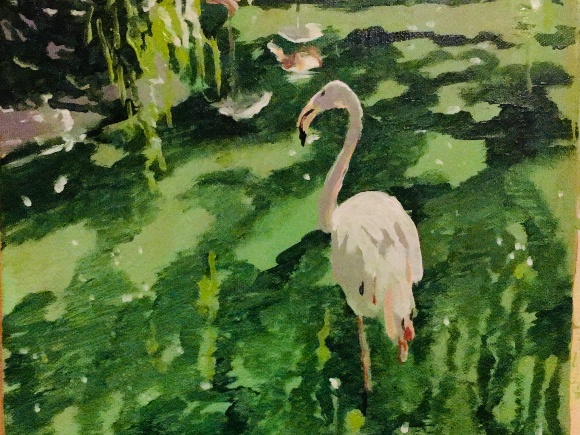 IMG_E5152