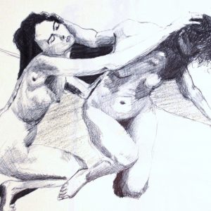 lottatrici