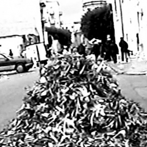 Immagine 2021-03-14 165902